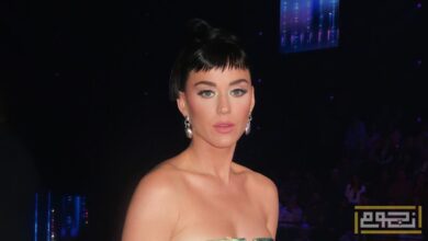 أحداث وإنجازات هامة في مسيرة ليدي غاغا