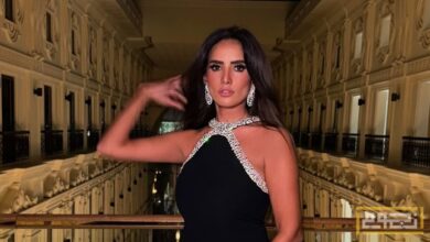 أحدث تصريحات زينة حول أصداء مسلسل "ورد وشيكولاتة"