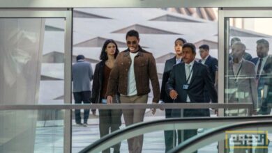 موعد طرح فيلم "Dogs 7" في السينمات