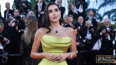 ياسمين صبري للمرة الثانية مع كريم عبد العزيز في السينما