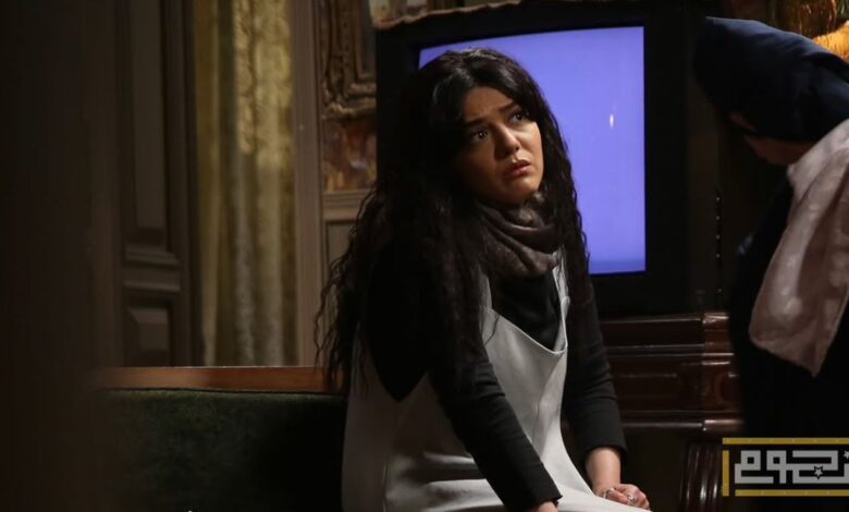 دانا مارديني تفاجيء الجمهور بقرار اعتزالها