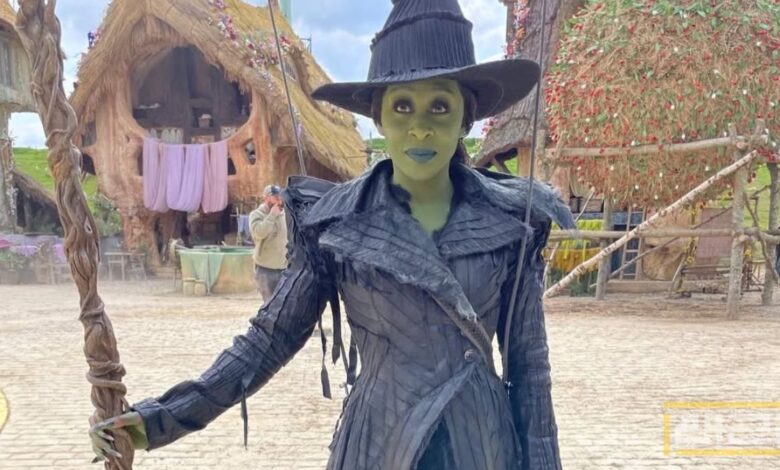 نظرة على إيرادات فيلم "Wicked: For Good"