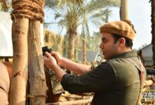 محمد إمام يعود لفيلم "شمس الزناتي"