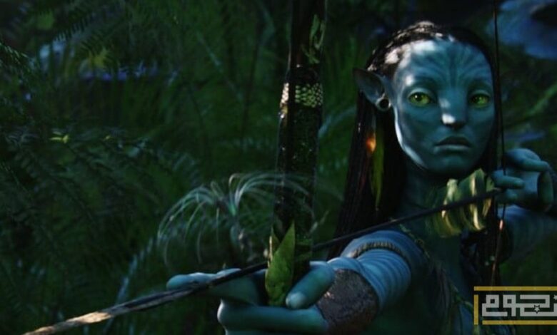 معلومات عن فيلم "Fire and Water"