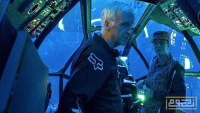 تفاصيل الإيرادات الأولية لفيلم "Avatar: Fire And Ash"