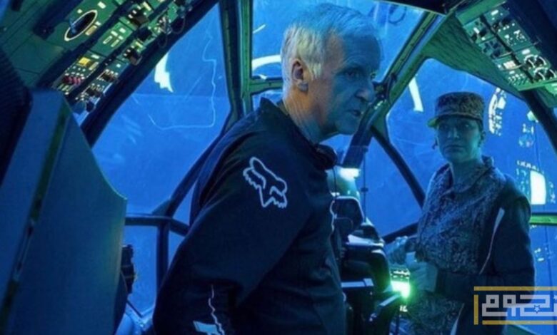 تفاصيل الإيرادات الأولية لفيلم "Avatar: Fire And Ash"