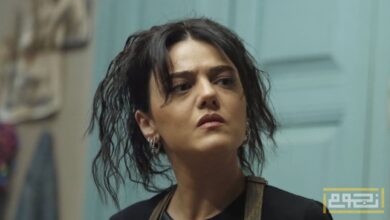 دانا مارديني تكشف موقفها من الاعتزال