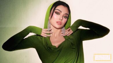 هيفاء وهبي تستأنف نشاطها الفني