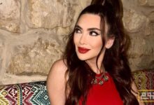 شائعات وأحداث مقلقة تداولها الجمهور في فترة اختفاء ستيفاني صليبا