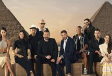 إيرادات قياسية لفيلم " 7dogs" وتراجع إيرادات فيلم "أسد"