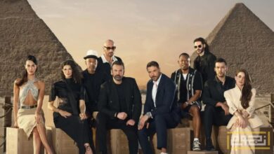 إيرادات قياسية لفيلم " 7dogs" وتراجع إيرادات فيلم "أسد"